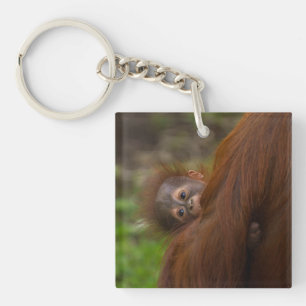 Orangutan Baby Having A Peek Key Ring