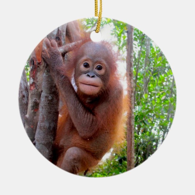 Orangutan Baby Uttuh Ceramic Tree Decoration (Front)