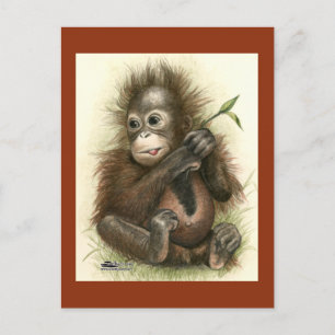 Orangutan Baby With Leaves Postcard