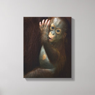 Orangutan Canvas Print