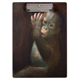 Orangutan Clipboard