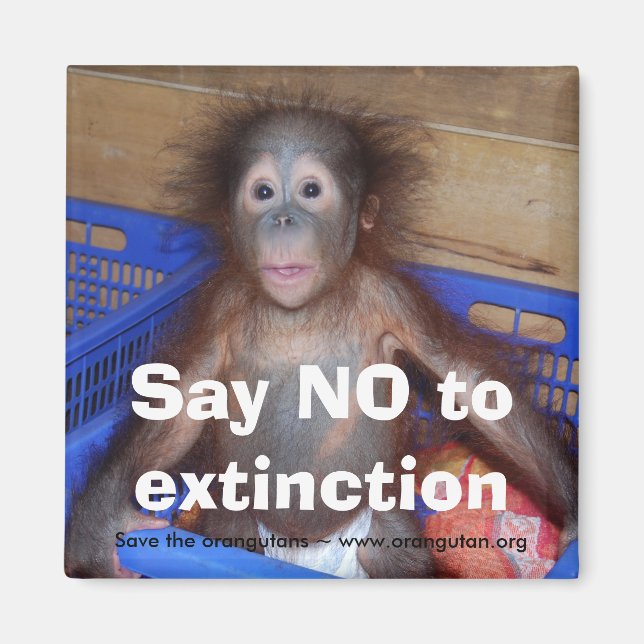 Orangutan Conservation Magnet (Front)
