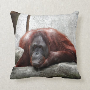 Orangutan Cushion