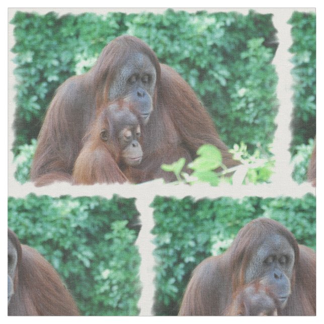 Orangutan Fabric (Close Up)