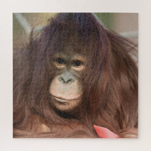 Orangutan Kayan Jigsaw Puzzle