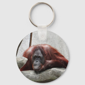 Orangutan Key Ring