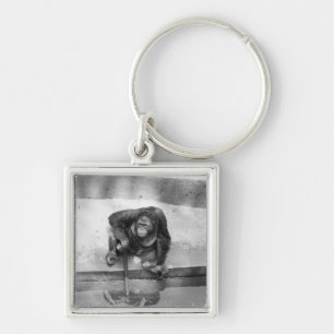 Orangutan Key Ring