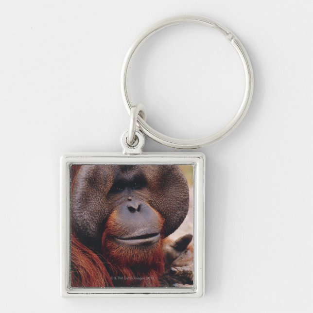 Orangutan Key Ring (Front)