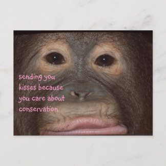 Orangutan Kisses for Conservation Postcard