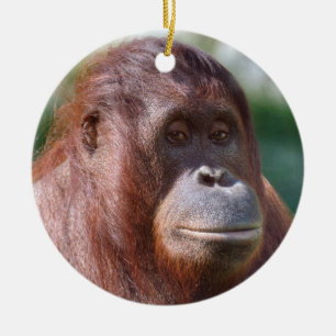 Orangutan Lady Ceramic Tree Decoration