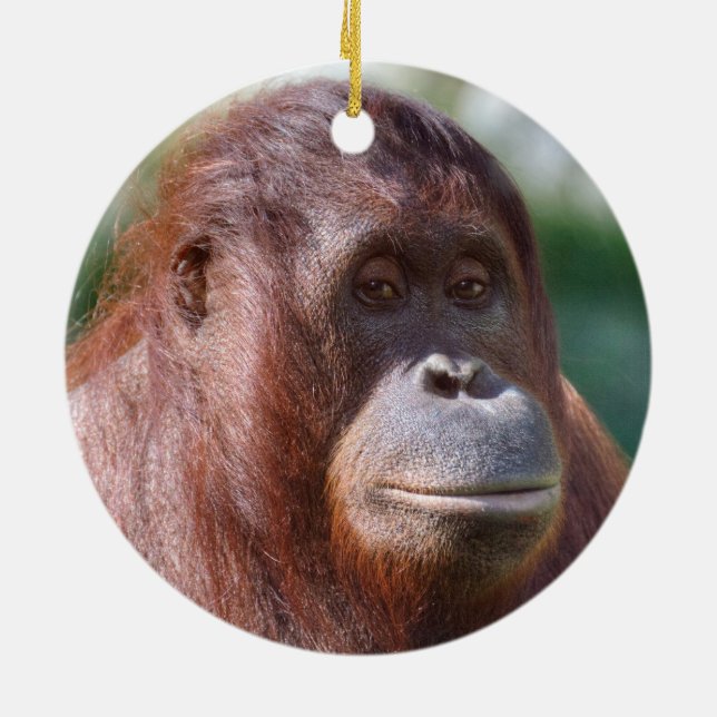 Orangutan Lady Ceramic Tree Decoration (Back)