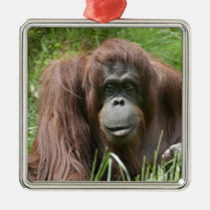 Orangutan Metal Tree Decoration