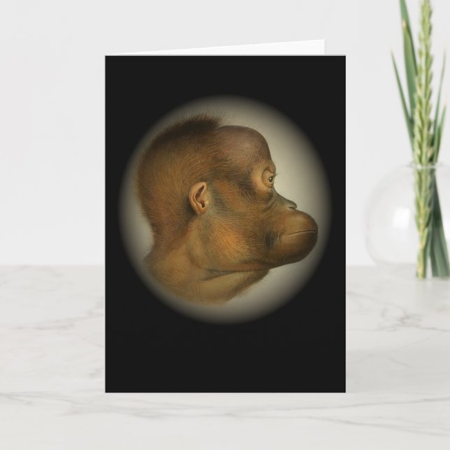 Orangutan Monkey Face Wild Rainforest Primate Apes Card (Front)