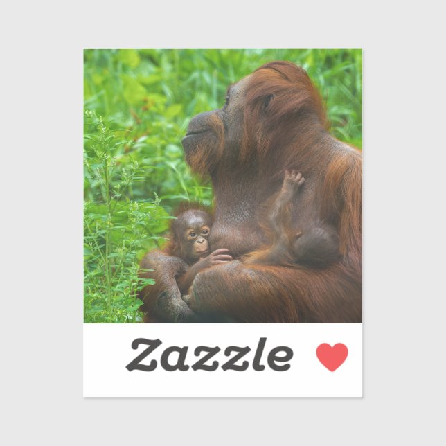 Orangutan Mother and Babies  (Sheet)