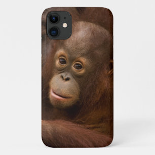Orangutan Mother and Baby at the Zoo Case-Mate iPhone Case