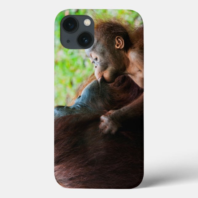 Orangutan mother and baby Case-Mate iPhone case (Back)
