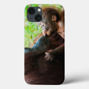 Orangutan mother and baby iPhone 13 case