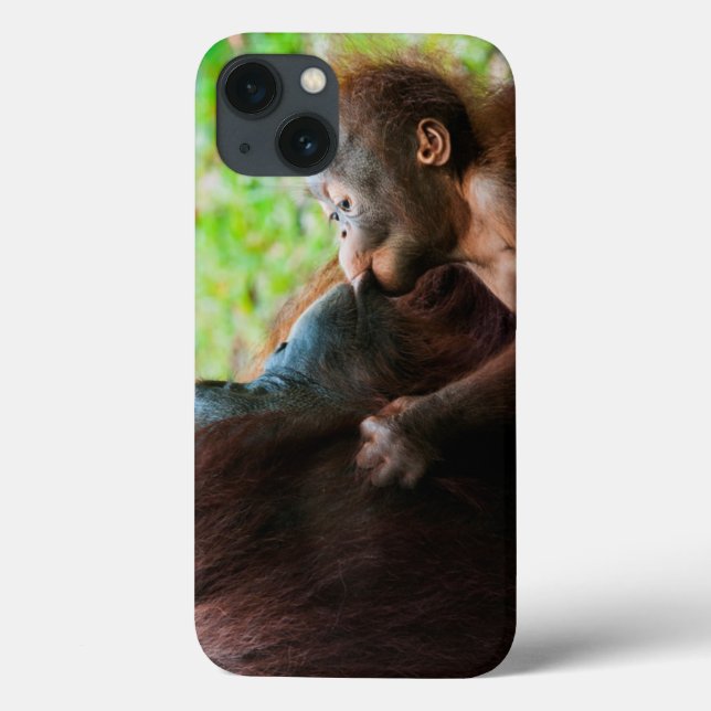 Orangutan mother and baby Case-Mate iPhone case (Back)