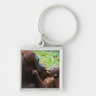 Orangutan mother and baby key ring