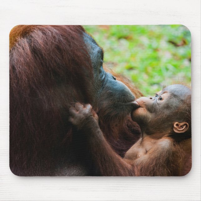 Orangutan mother and baby mouse pad (Front)