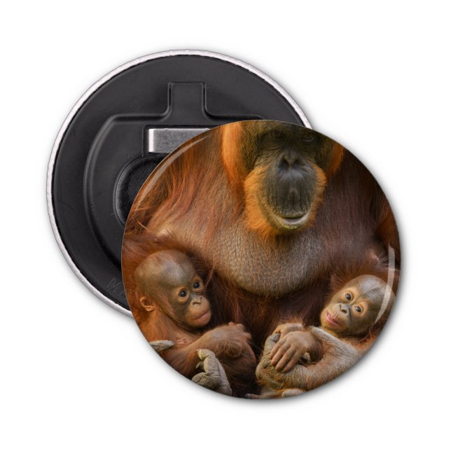 Orangutan Mother Holding Two Babies Bottle Opener (Front)