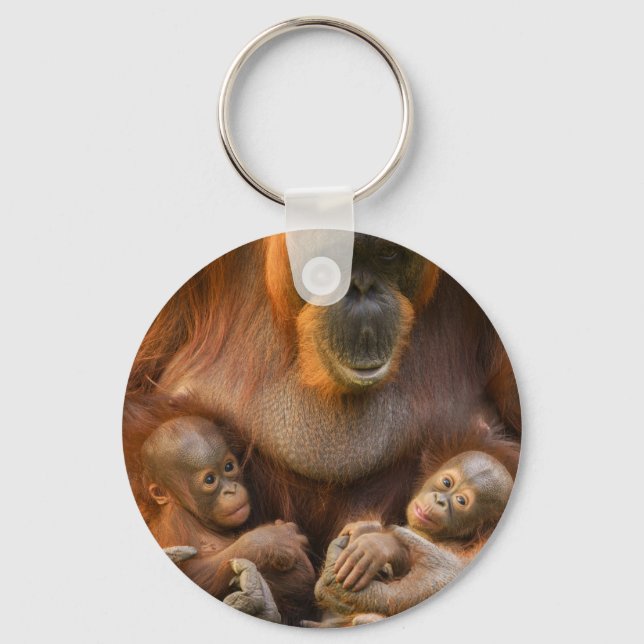 Orangutan Mother Holding Two Babies Key Ring (Front)