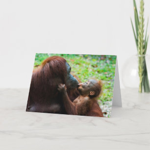 Orangutan Mother with Baby Card