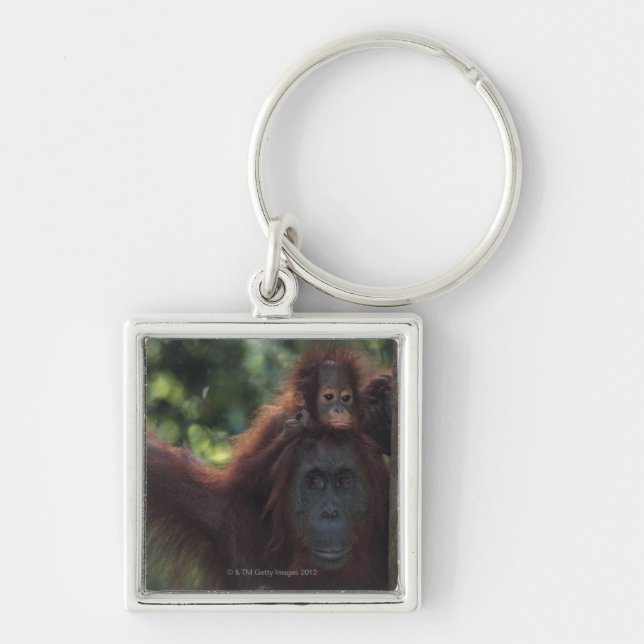 Orangutan Mother with Baby Key Ring (Front)