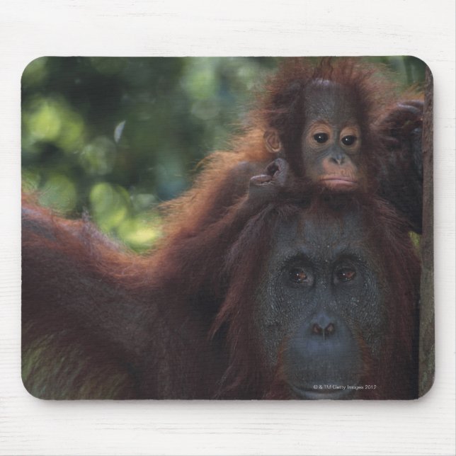 Orangutan Mother with Baby Mouse Pad (Front)