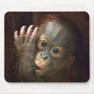 Orangutan Mouse Pad