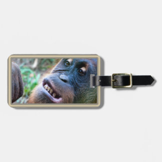 Orangutan Photo Luggage Tags #4