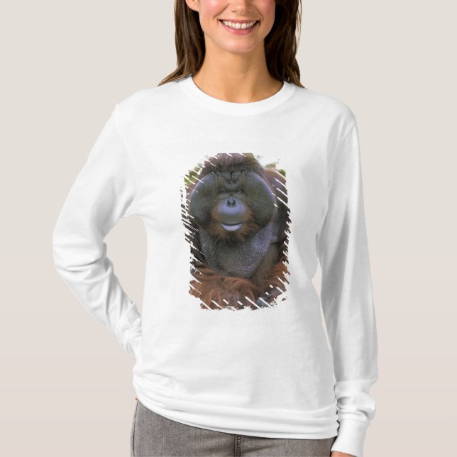 Orangutan Pongo Pygmaeus T-Shirt (Front)