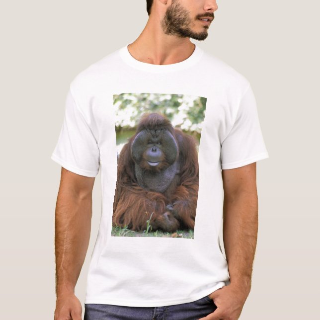 Orangutan Pongo Pygmaeus T-Shirt (Front)