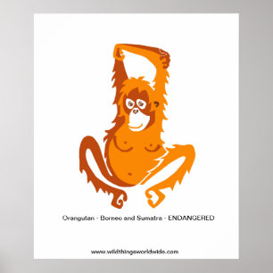 Orangutan Poster