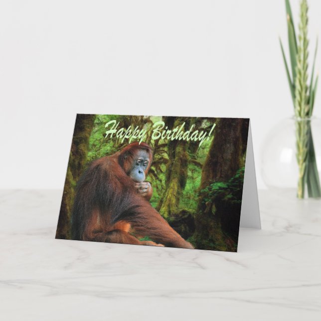 Orangutan & Rainforest Birthday Card (Front)