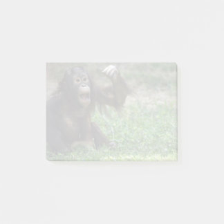 Orangutan Redd at the National Zoo Post-it Notes