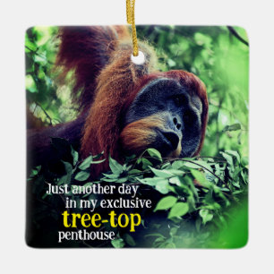 Orangutan relaxing in tree ceramic ornament