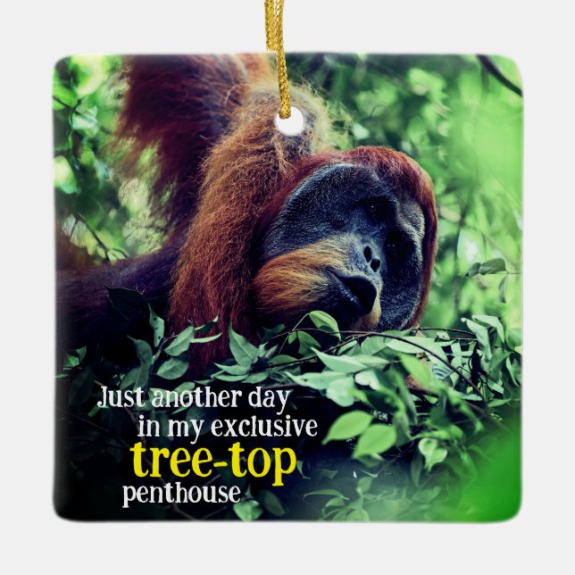 Orangutan relaxing in tree ceramic ornament (Front)