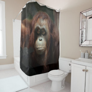 Orangutan Shower Curtain