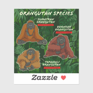 "Orangutan Species" Sticker