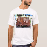 Orangutan