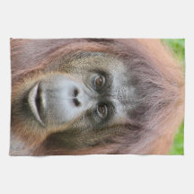 Orangutan Tea Towel
