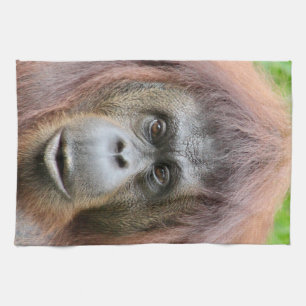 Orangutan Tea Towel