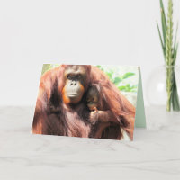 Orangutan Thumbs Up Mother's Day Card