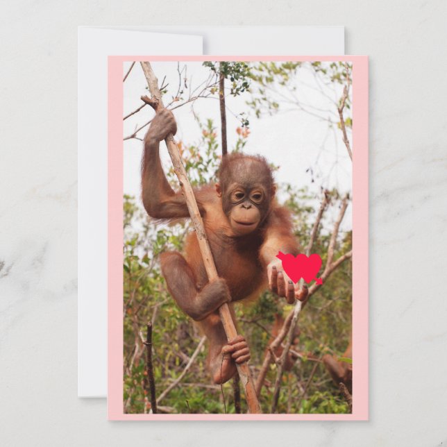 Orangutan Valentine Cards (Front)