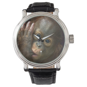 Orangutan Watch