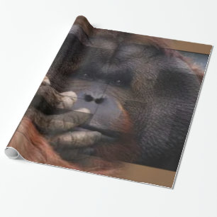 Orangutan Wrapping Paper