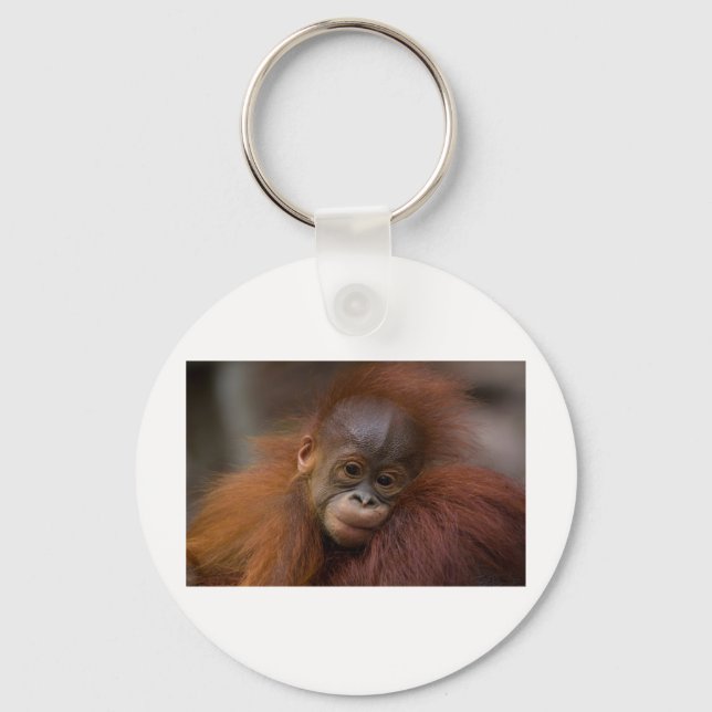Orangutang baby key ring (Front)