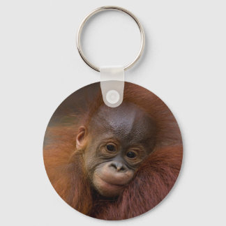 Orangutang baby key ring