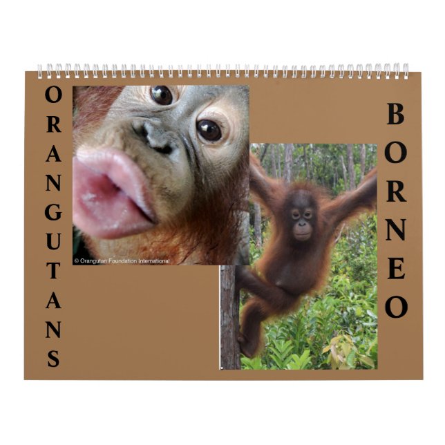 Orangutans Borneo Calendar (Cover)